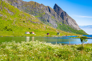 Fototapety na wymiar - Fototapeta24.pl