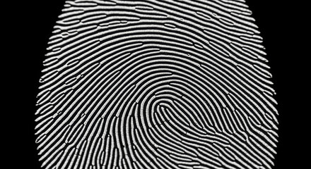 A close up of a fingerprint pattern in black and white showing unique ridges and swirls detail 100