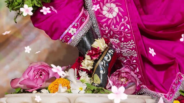 LORD KRISHNA'S FEET DARSHAN