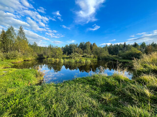  Small forest pond with perfect sky reflection and summer greenery all around. Tranquil, untouched...