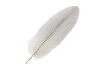 Single white feather with transparent background, ideal for graphic design projects related to lightness, purity, and softness
