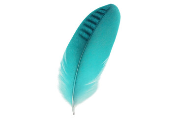Single light turquoise feather floating gently on a transparent background, perfect for design projects