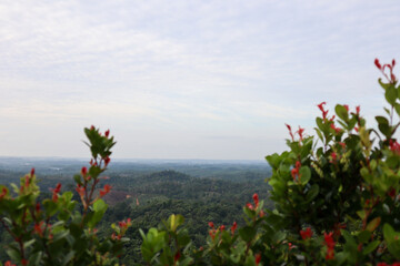 Obraz premium photo of hills and trees