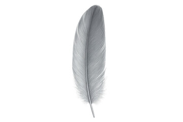Delicate white feather drifting softly against transparent surface, embodying lightness and ethereal tranquility
