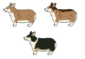 横から見た可愛いコーギーのマルチカラーイラスト