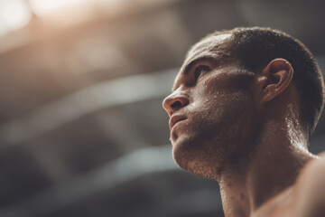 dynamic portrait of mma fighter celebrating victory showcasing powerful emotions