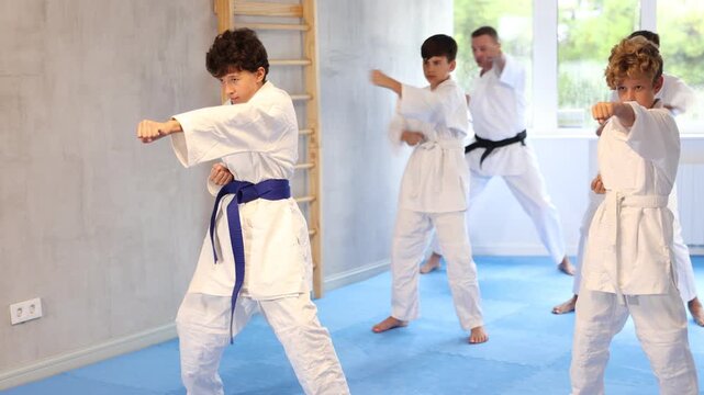 Group of children posing together, practicing karate moves at class indoor in gym. High quality 4k footage