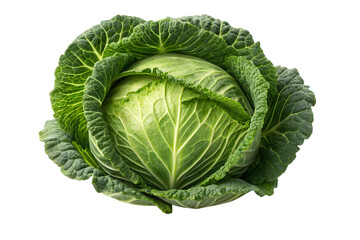Fresh savoy cabbage with vibrant green leaves, a healthy and nutritious vegetable, ideal for salad, coleslaw, and cooking preparations