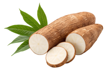 Fresh cassava root with leaves, sliced for cooking and healthy eating