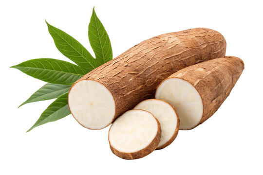 Fresh cassava root with leaves, sliced for cooking and healthy eating