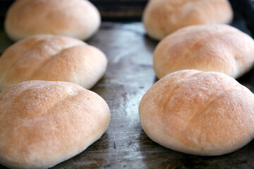 Close-up of warm, soft white bread rolls fresh out of the oven, cooling on a metal baking tray.