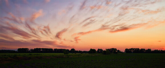 sunset in the field