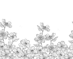 Hand Drawn Jasmine Flower Background