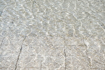 水面　反射　きらきら　光　池　河　川　海　表面