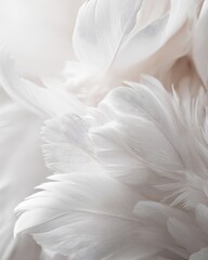 Elegant White Feathers On Light Beige Fabric