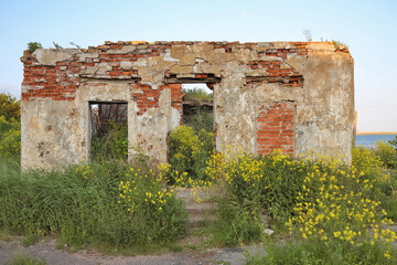 Old ruined house without roof in wild grass in summer