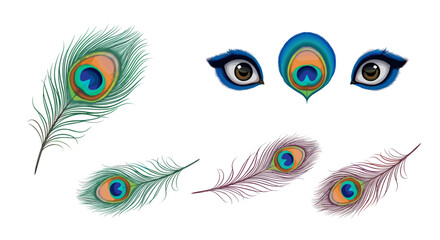 Obraz premium Illustration of peacock feathers in various colors and a set of cartoonish eyes on a white background