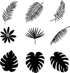 ヤシの葉とモンステラのモノクロシルエット　ベクターイラストセット