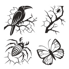 Black crow spider butterfly on cracked branches bird insect