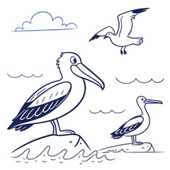 Cute blue ink drawings of sea birds and clouds pelican seagull