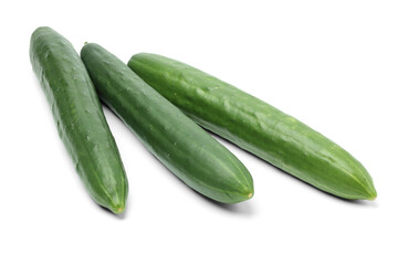Fresh Japanese Cucumber. isolated on white background.
