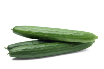 Fresh Japanese Cucumber. isolated on white background.
