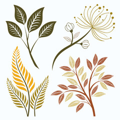 Autumnal botanical elements with leaves and seed heads
