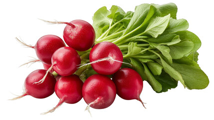 Vibrant red radishes with fresh green leaves on a dark background, closeup of healthy root vegetables