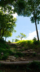 風わたる夏の見晴らし丘