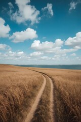 Winding dirt road cuts through golden dry grassland leading toward a distant coastline under a vivid blue sky with fluffy white clouds on a clear, peaceful summer day


