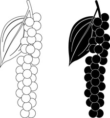 outline silhouette Black pepper icon set