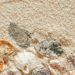 Collection of seashells scattered on fine sand, minimal nature pattern at soft sunlight, natural oceanic and summer textures, beach mood and sea style background, summer relaxation, harmony