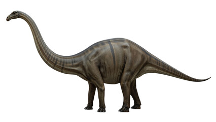 Apatosaurus dinosaur with a long neck and tail, standing in profile against a white background.