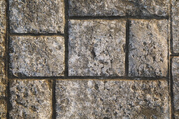 デザイン的に切り撮ったブロック歩道