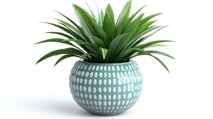 Potted plant in teal pot