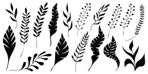 Hand drawn plant elements, dry fall leaves and vegetation, isolated on a white background, vector design