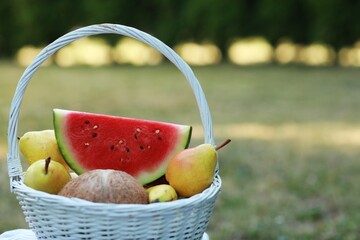 Fruits in a basket on a green background, summer