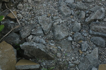 Fragments of concrete walls that were torn down at the site began to be covered by plants. the wall...