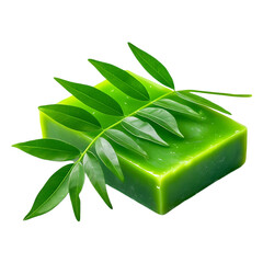 Green soap bar with fresh green leaves natural product