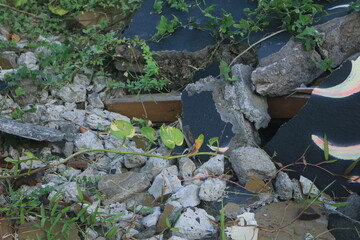 Fragments of concrete walls that were torn down at the site began to be covered by plants. the wall...
