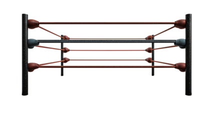 Isolated wrestling ring structure presenting a competitive combat arena space