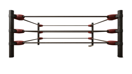 Isolated wrestling ring on a transparent layer offering a striking and versatile visual element