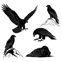 eagle vector illustration