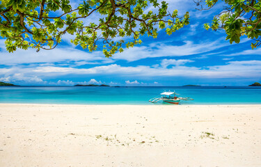 tropical beach with palm trees