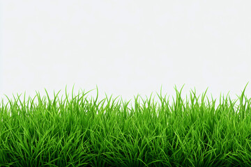 Obraz premium Lush green grass border isolated on transparent background.
