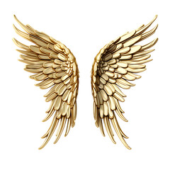 Golden wings isolated on a black background close up view