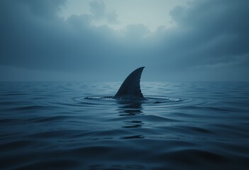 Naklejka premium Dark moody ocean scene with a solitary shark fin breaking calm water surface at dusk