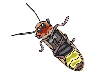 Fireflies in continuous line drawing on a white background.