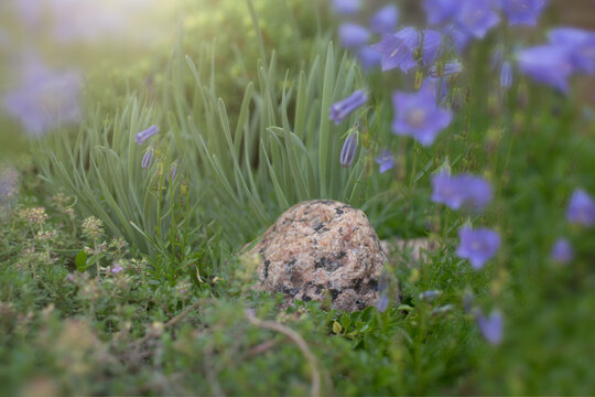 Rock fairy garden meadow backdrop
