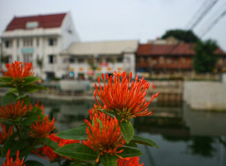 Scenic view of Jakarta’s Old Town in the morning, showcasing historic Dutch colonial buildings,...